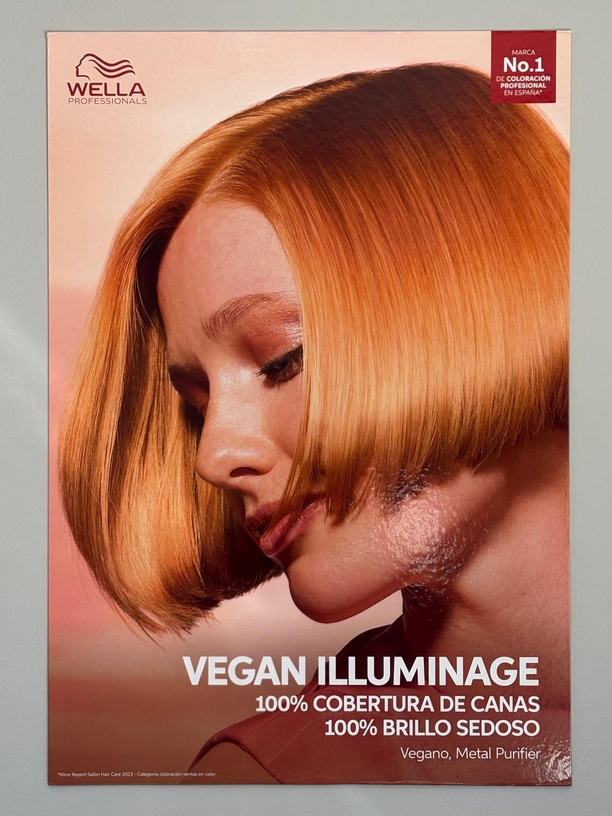 Hair & More - Salon